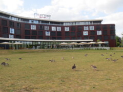 Marriott Hotel Wolfsburg. Im Vordergrund Enten auf einer Wiese.